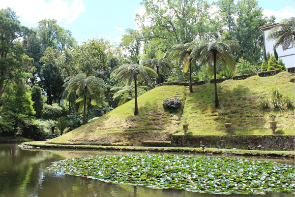 Botanische tuinen in Parque Terra Nostra